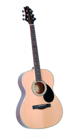 GregBennett GA100S/N