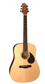 GregBennett GD100RS/N