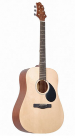 GregBennett GD50/OPN
