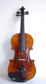 Скрипка Tononi VN300 4/4